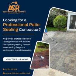 Bring Your Patio Back to Life