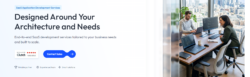 SaaS Application Development Services