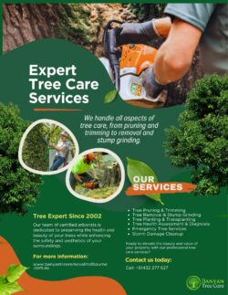 Professional Tree Stump Removal Melbourne for a Cleaner Yard