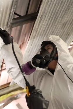 Trusted Mould Testing in Saskatoon Solutions by United Environmental Consulting Inc.