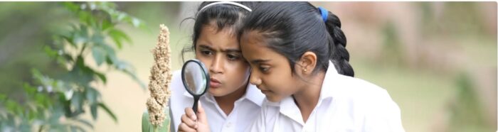Balanced Learning Environment for Overall Development
