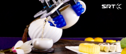 Robot Gripper Manufacturers