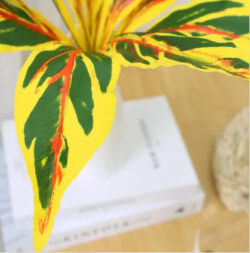 Artificial Dracaena trifasciata