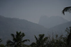 How to Choose the Best Among Good Family Resorts in ECR Chennai