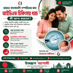 বাংলাদেশে বসবাসকারী দম্পতিদের জন্য ভারতে আইভিএফ আইভিএফ চিকিৎসার খরচ: কী আশা করা যায়