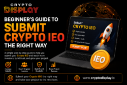 Beginner’s Guide to Submit Crypto IEO the Right Way