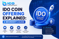 IDO Coin Offering Explained: A Beginner’s Guide