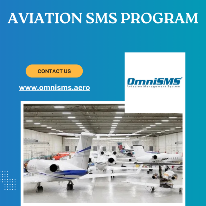 Aviation SMS Program