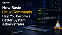 How Basic Linux Commands Help You Become a Better System Administrator