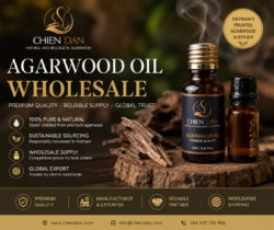 Source Premium Vietnam Agarwood Directly from the Experts! ✨