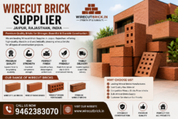 wire cut bricks for construction jaipur