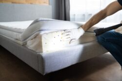 Professional Heat Treatment Services | PestKil Cayman Islands