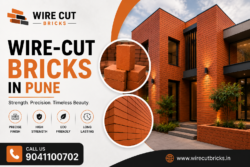 supplier of durable wire-cut clay bricks