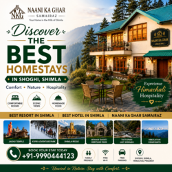 Best Resort in Shimla for Weekend Getaways