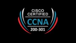 Complete Guide to the CCNA Course in Pune for Networking Professionals