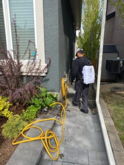 Avayda Pest Control Creating Healthier Living Spaces in Toronto