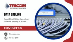Dependable Structured Cabling for Your Business