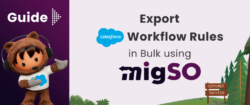 Guide to Export Salesforce Workflow Rules in Bulk using migSO