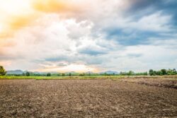 Lakeview Farms Offers Premium Farmland Projects Near Bangalore