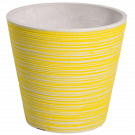 Online Range of Plastic Pots That Complement Any Plant or Interior