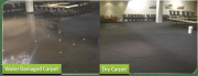 Need Trusted Support for Carpet Flood Damage Restoration?