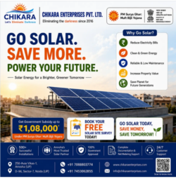 Looking for a Solar Street Light Company That Delivers Quality and Performance?