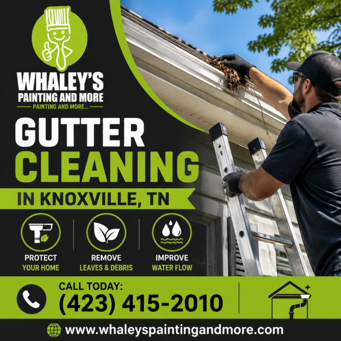 Knoxville Gutter Cleaning