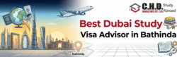 Best Dubai Study Visa Advisor In Bathinda | Why Students Choose Us
