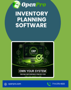 Advanced Inventory Planning Software Solutions