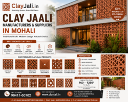 Clay Jali Supplier in Mohali, Punjab
