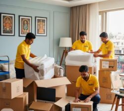 Best Packers and Movers in Shimla