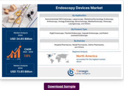 Endoscopy Devices Market Insights into High-Definition Imaging and Visualization Technologies to ...