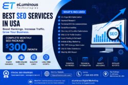 Professional SEO Services in USA That Deliver Results – eLuminous Digital Marketing
