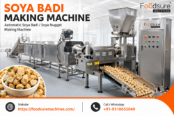 Soya Badi Making Machine | Automatic Soya Nugget Production Line India