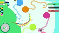 Conquer the Canvas: A Beginner’s Guide to Paper.io 2