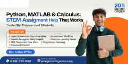 Python Assignment help