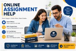 Statistics Assignment Help for International Students