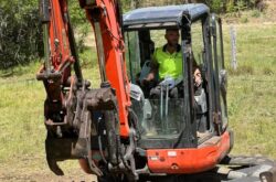 Tree Removal Richmond