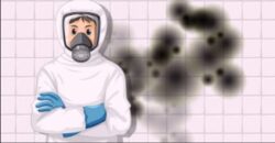 Comparing Mold Remediation and Inspection Certification Standards in 2026: What Matters for Home ...