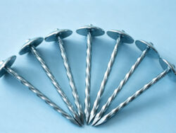 Roofing Nails