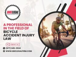 Trusted Legal Help For Injured Cyclists After Bike Crash