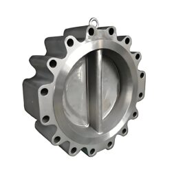 Lug Check Valve