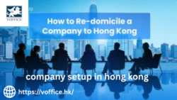 Hong Kong Company Formation Services