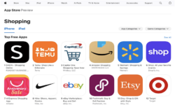 4 Popular Online Stores for Multipurpose Shopping