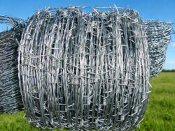 Barbed Wire