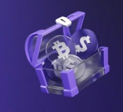 Bitcoin Dice: How Does the Provably Fair Dice Game Work?