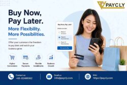 Buy Now Pay Later Payment Solutions: Helping Businesses Deliver Flexible Checkout Experiences
