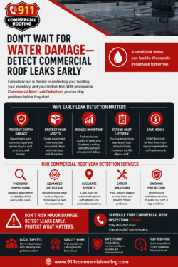 Reliable Solutions for Commercial Roof Leak Detection