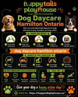 Dog Daycare in Hamilton, Ontario