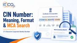CIN Number Meaning, Format and MCA Company Search